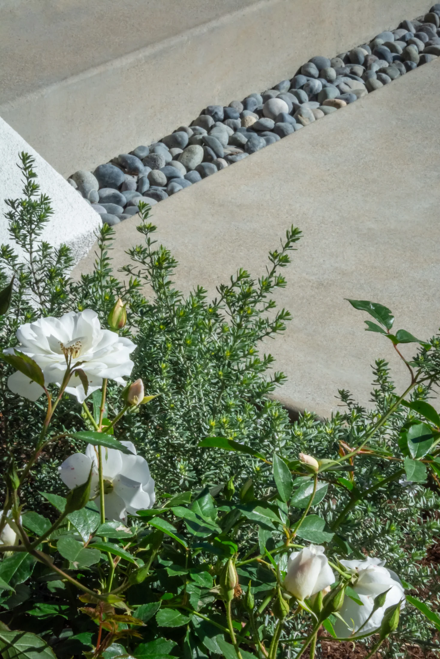 Hillside Estate — outdoor living detail 21
