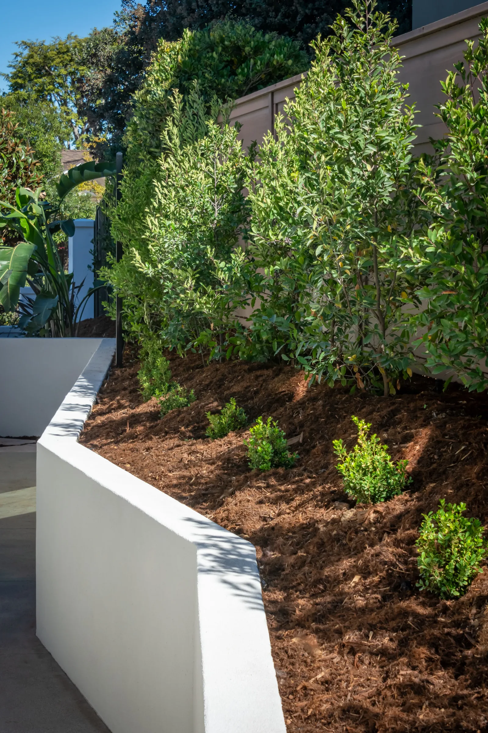 Light-toned paver driveway and motor court on a rural Escondido property